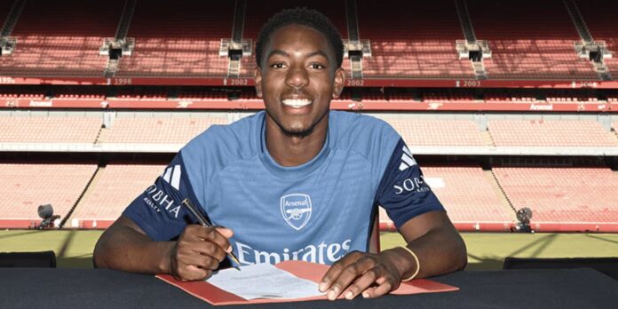 mls_contract.jpg